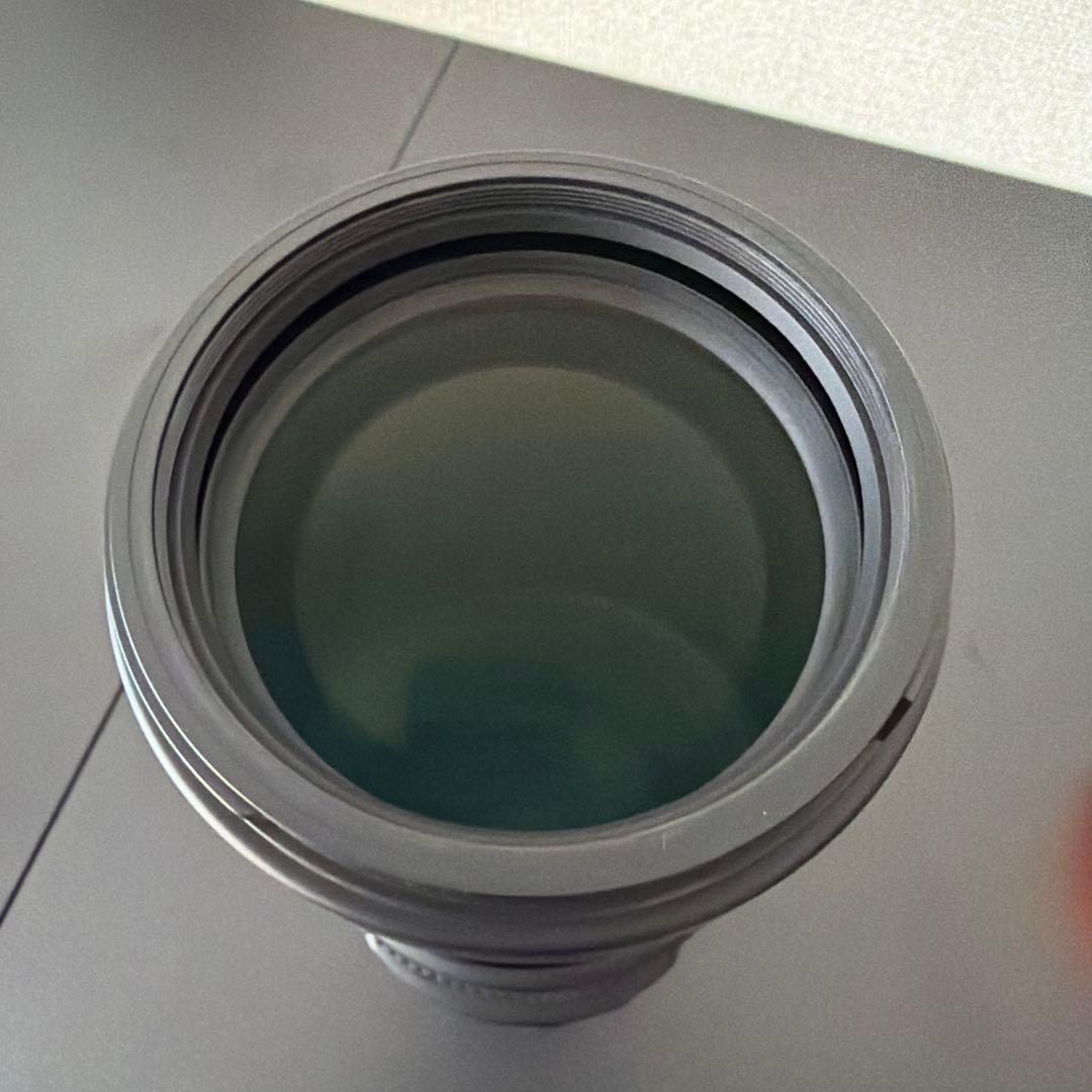 SIGMA 100-400mm F5-6.3 DG DN OS SONY α E