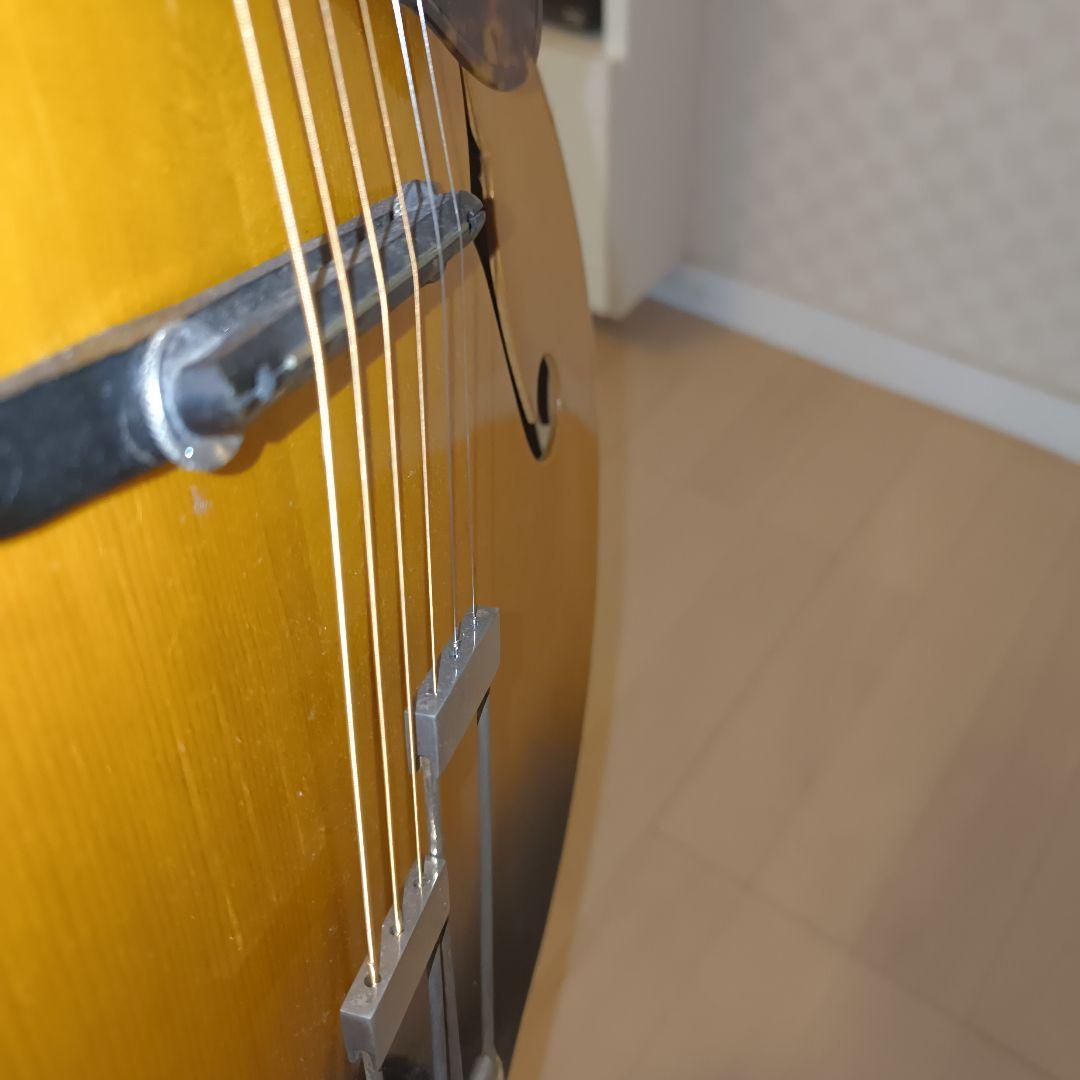 KISO SUZUKI-VIOLIN アーチトップ f ホール ピックギター