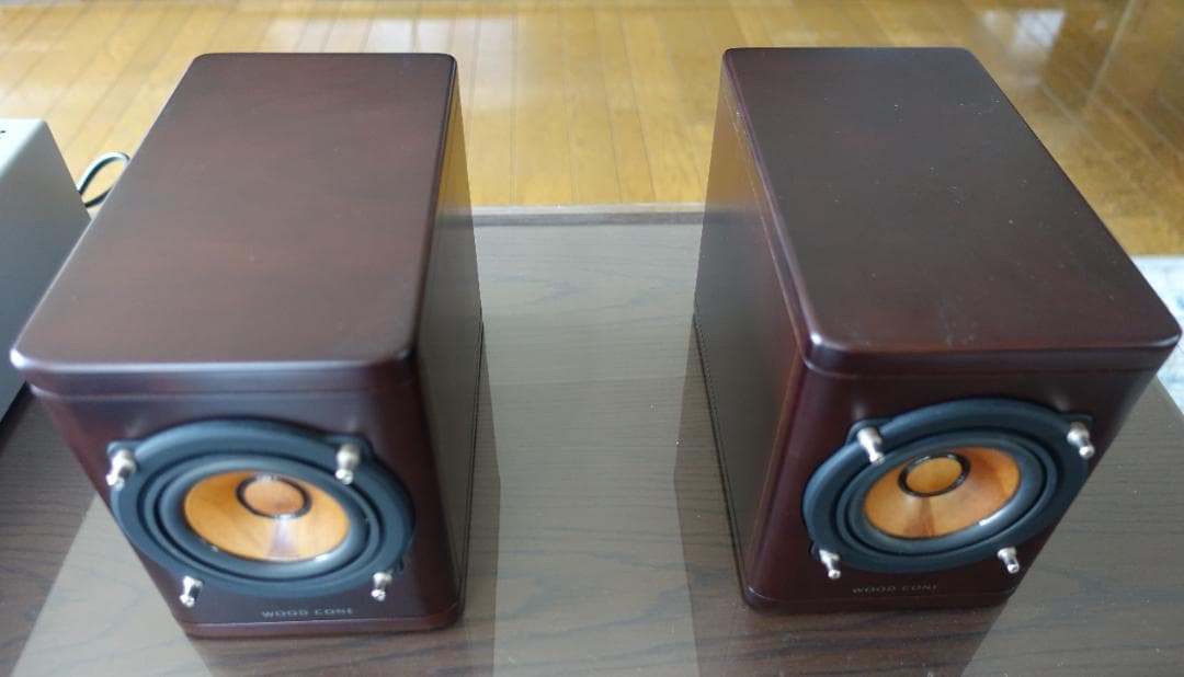 JVC　EX-N1/SP-EXN1 ウッドコーンスピーカー