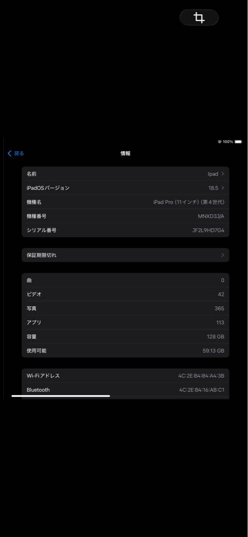 iPad Pro 11インチ 第4世代　128GB シルバー 本体