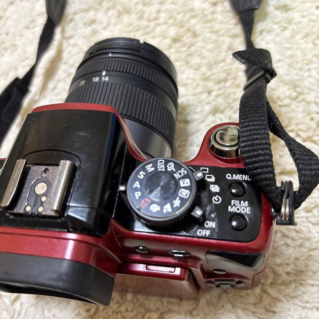 Panasonic LUMIX DMC-G1 レッド ミラーレス一眼カメラ