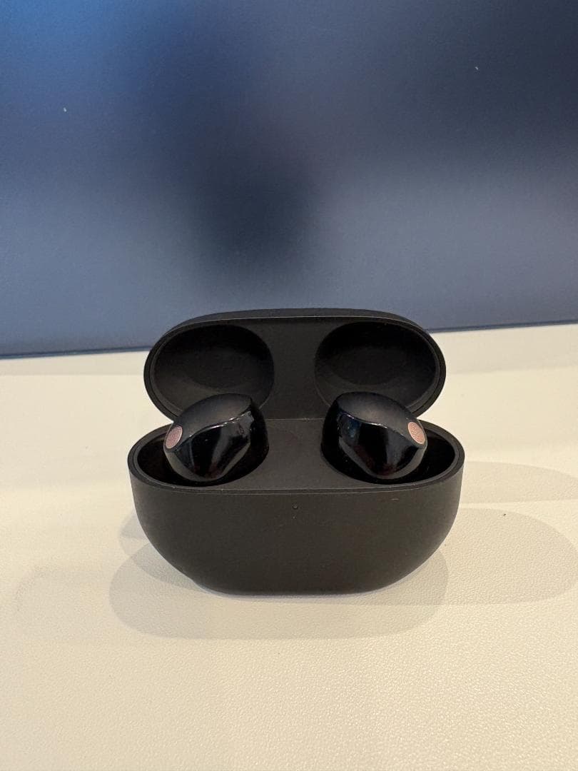 SONY ワイヤレスイヤホン ブラック 充電ケース付き