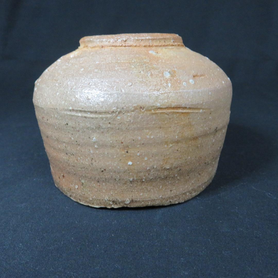 茶碗 抹茶碗 茶道具 茶器 信楽 上田直方 真方 木箱 共箱