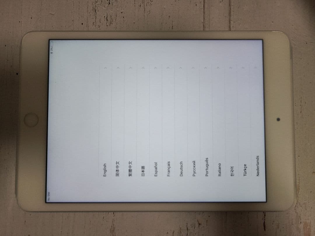 iPad本体 iPad mini4 128GB wi-fi+Cellular