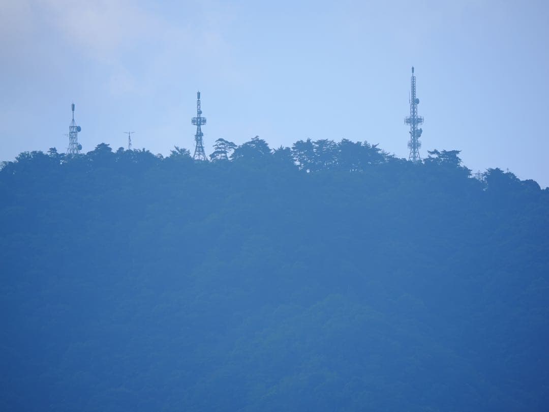 紫*花様 Panasonic LEICA DG VARIO-ELMAR 100-