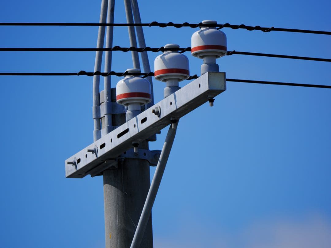 紫*花様 Panasonic LEICA DG VARIO-ELMAR 100-