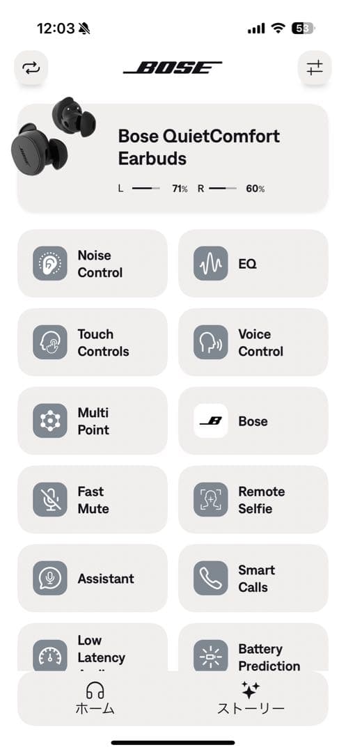 Bose QuietComfort Earbuds ブラック 不具合あり