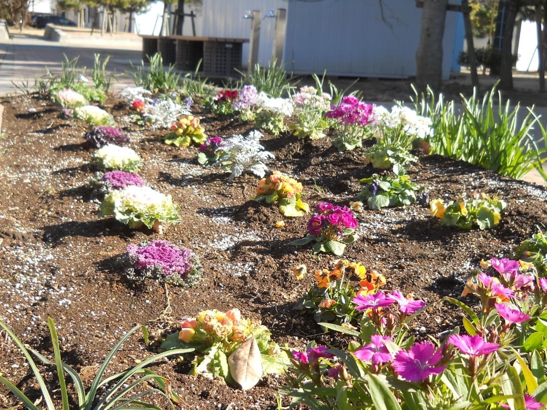 実写美⭕️【動作確認済】Nikon COOLPIX L21 デジカメ　シルバー