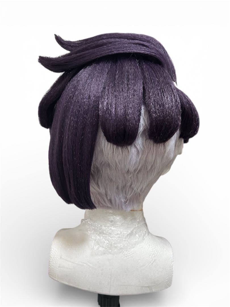 ポケモンZA カラスバ　ウィッグ