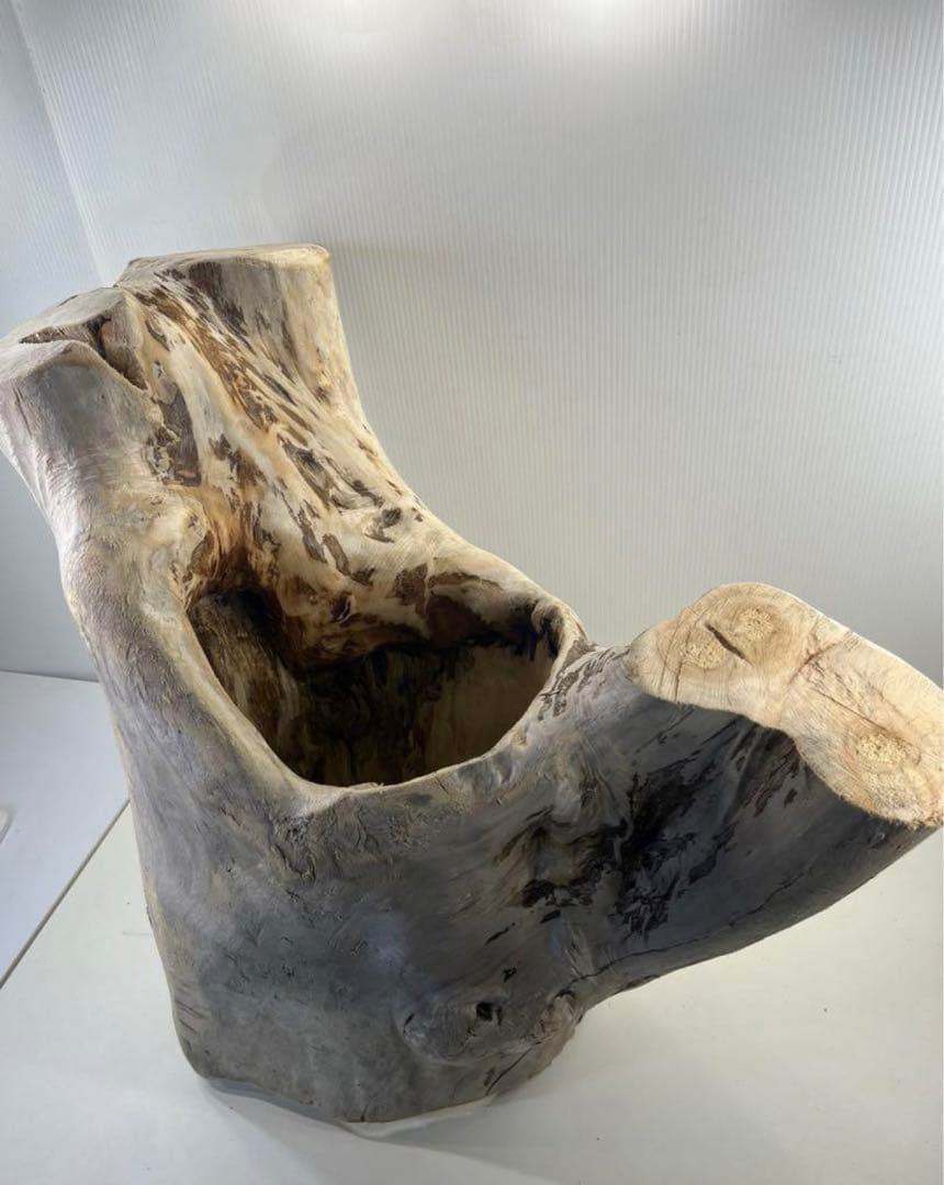 r86特大流木 アク抜き済み 爬虫類シェルター インテリア オブジェ テラリウム