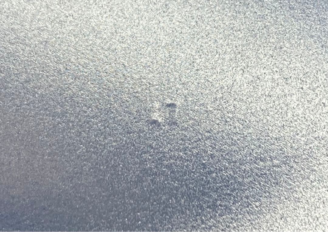 フランス製　ガラス食器 ② 大皿