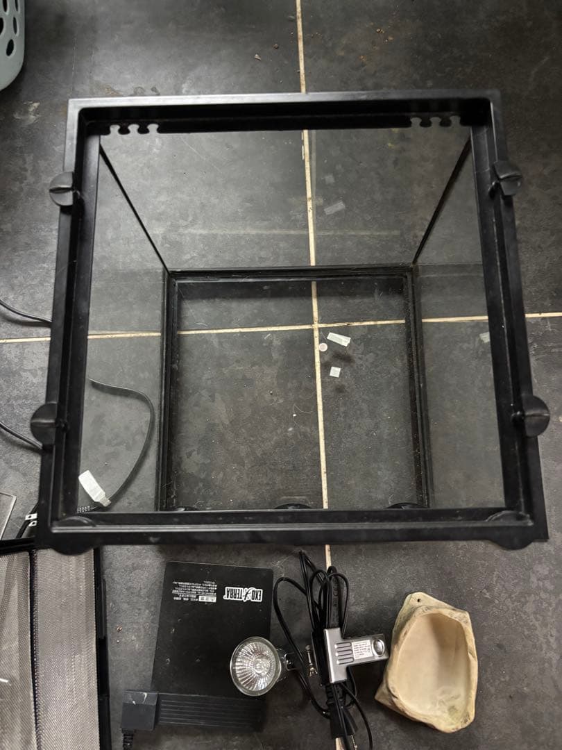 グラステラリウム3030 飼育セット