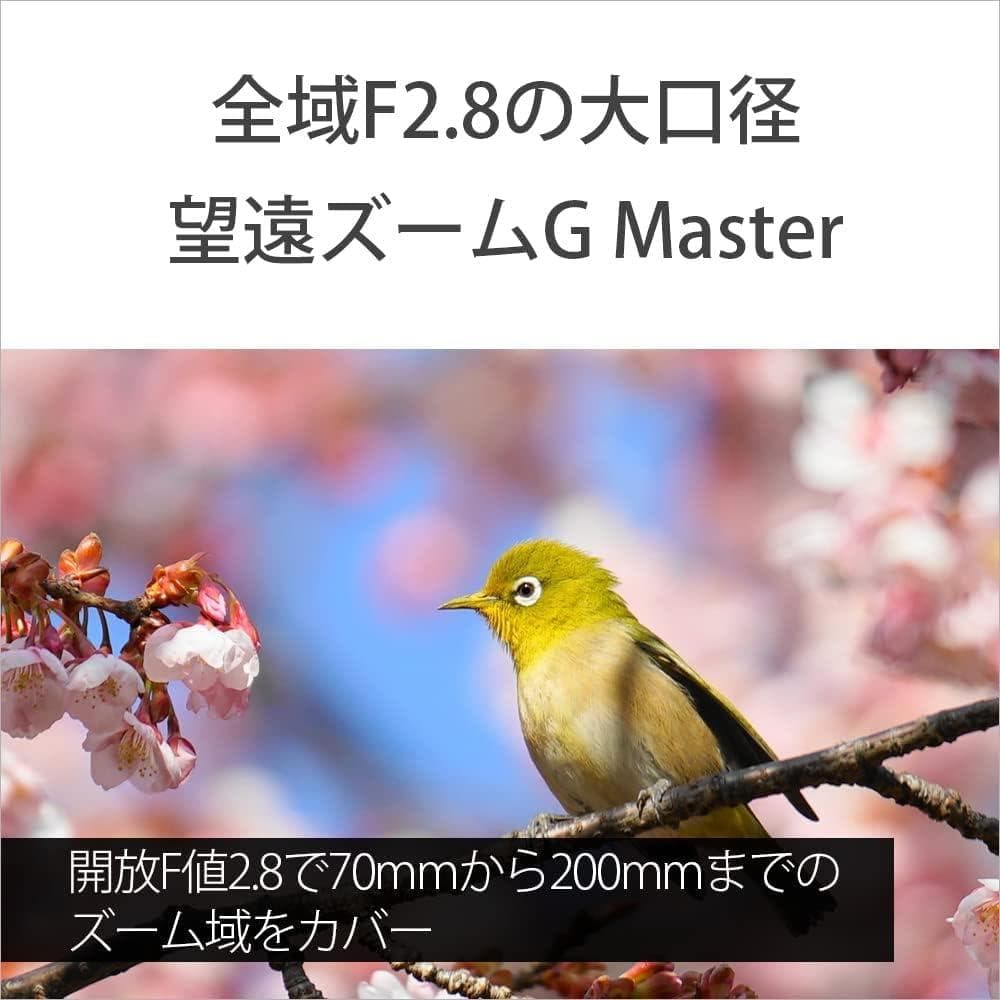 【中古品】SONY 望遠ズームレンズ SEL70200GM Eマウント フード付