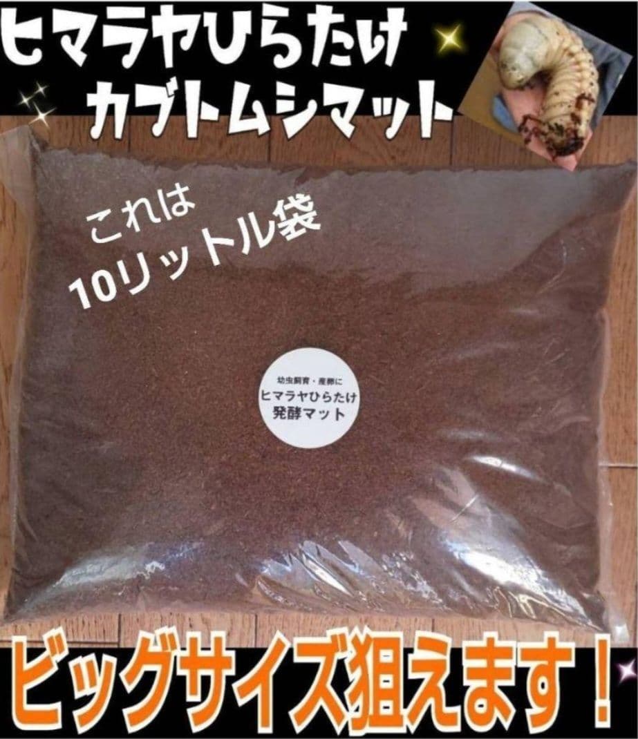 たっぷり60リットル　カブトムシ幼虫が大きくなります！発酵マット　雑虫がわかない