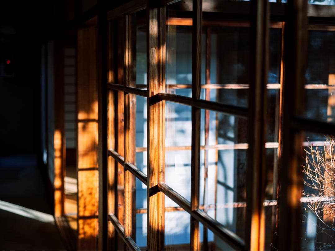 レンズ(単焦点) Leica Summicron-R 50mm F2 R-only