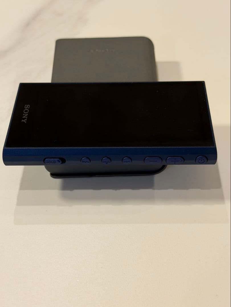 NW-A306 microSDXC512GB/ケース付 SONY WALKMAN