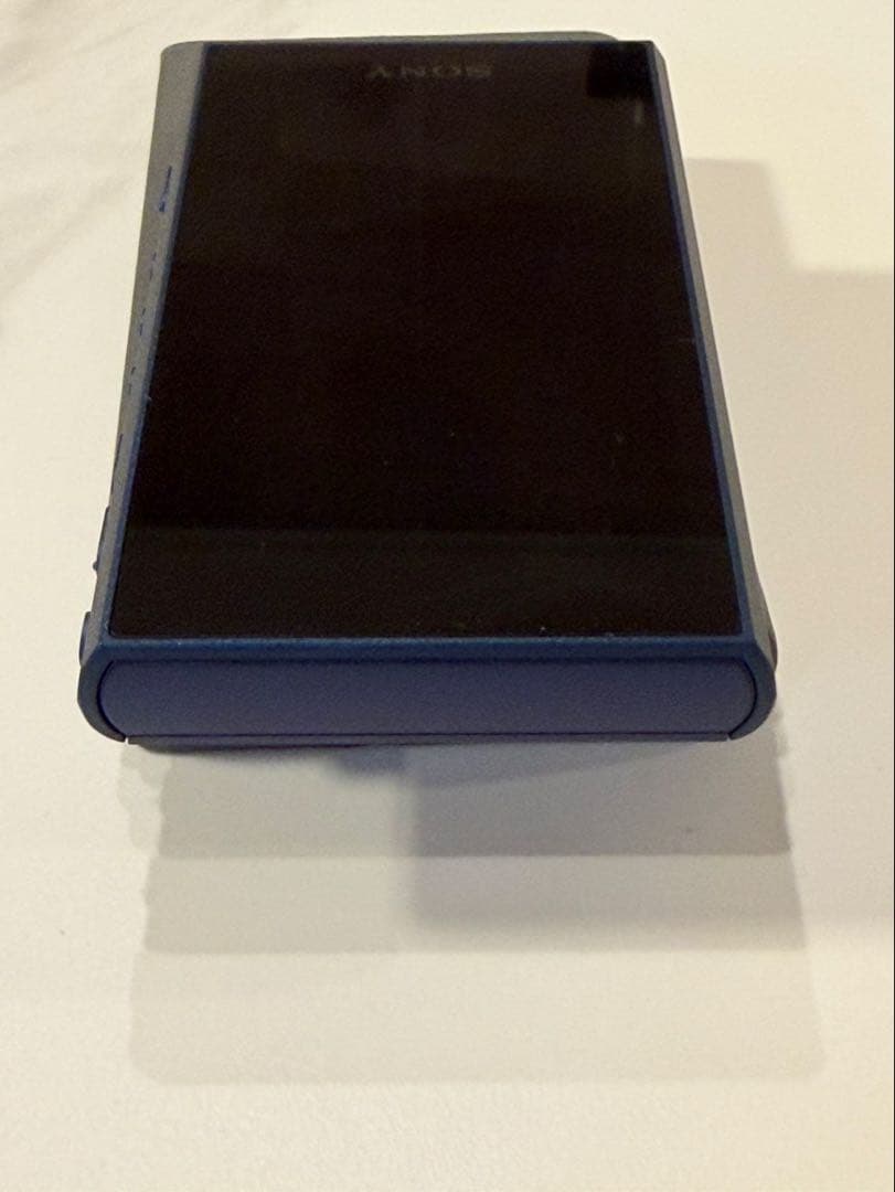 NW-A306 microSDXC512GB/ケース付 SONY WALKMAN