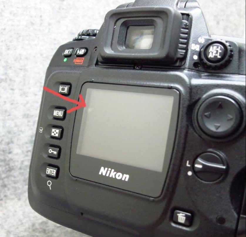 NIKON D100 標準ズームレンズ付