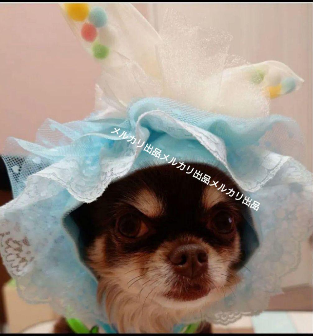 J＆Kanimals 　はるちゃんワンピース　イースター限定ワンピース