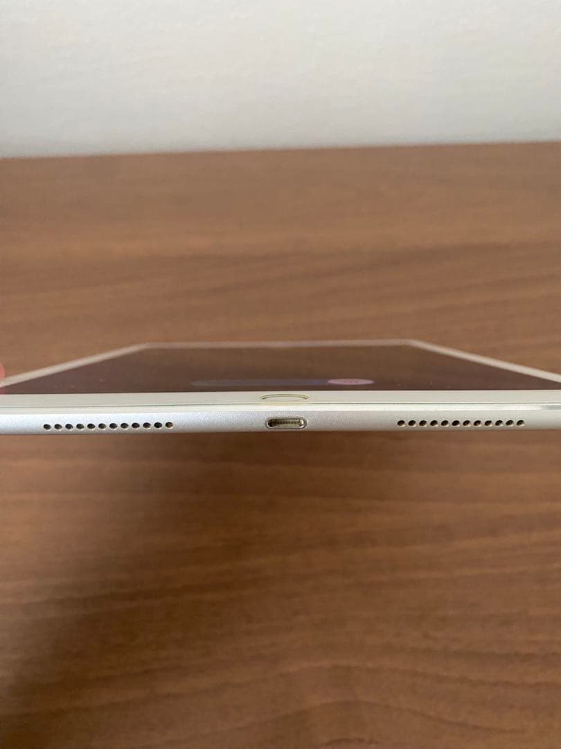 【動作確認済】iPad Pro第1世代 32GB (バッテリー最大容量91%)