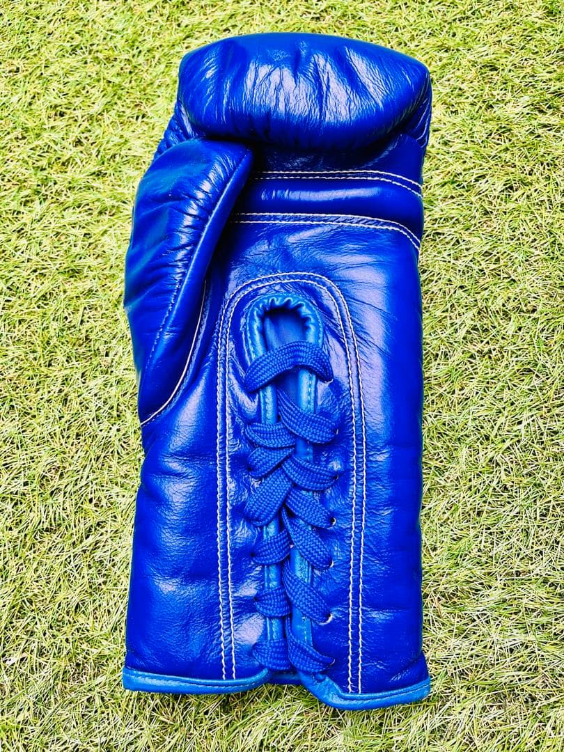 ❤️ TWINS ボクシンググローブ 12 OZ 青
