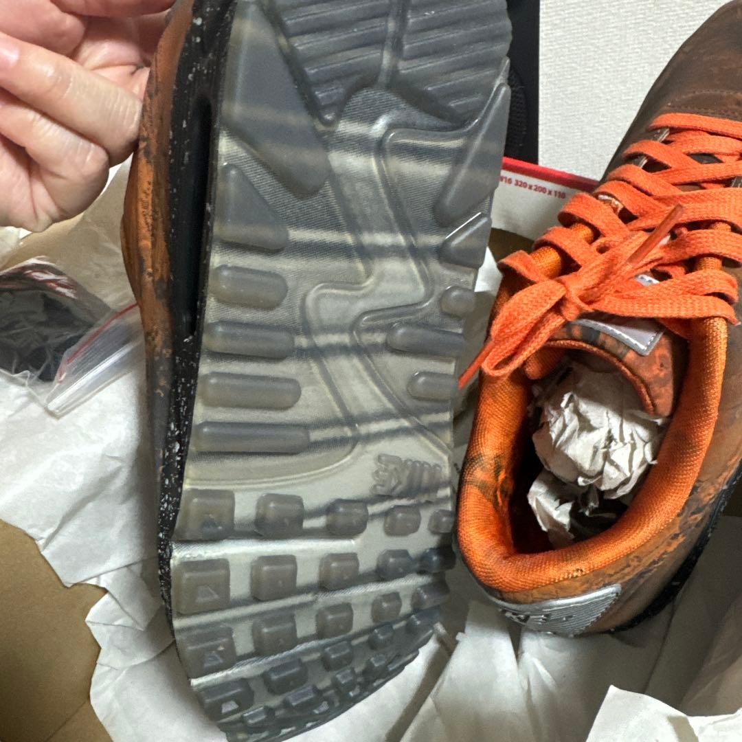 シューズ Nike Air Max 90 QS