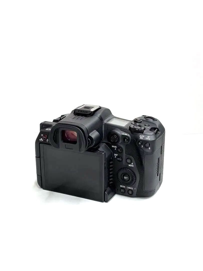 【総稼動11h】Canon EOS R5C ビデオカメラ本体 VR cinema