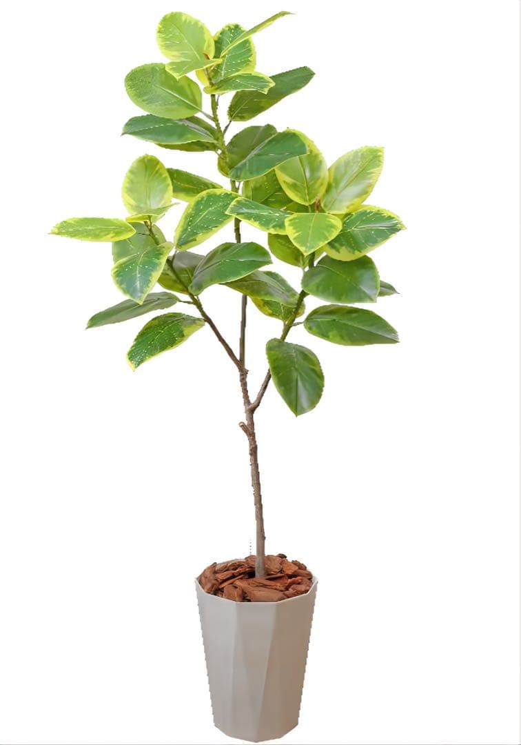 光触媒　人工観葉植物　ウォールグリーン　フェイクグリーン　アルテシマ170170