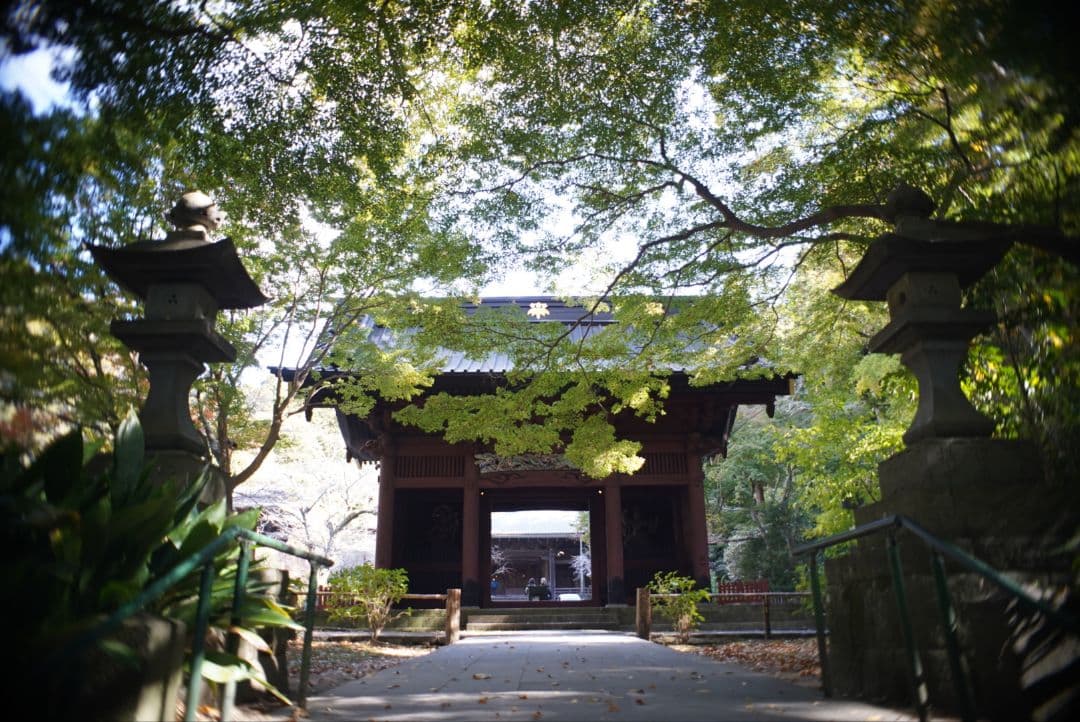 【動作確認済】OLYMPUS E.Zuiko Auto-W 25mm f4