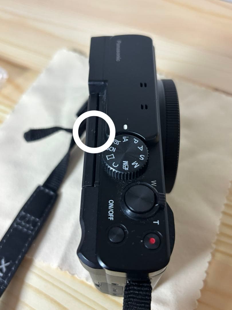 Panasonic Lumix DC-TZ95 30倍ズーム・4K動画・自撮り