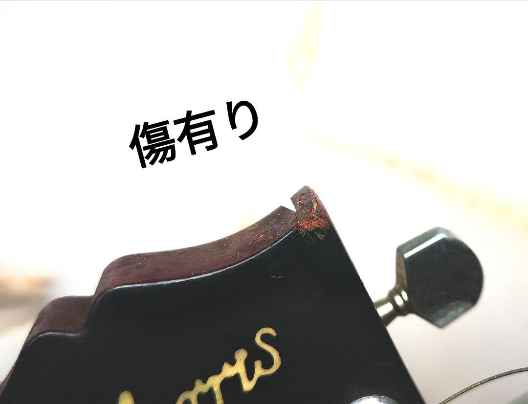 Morris モーリス WD-25N アコースティックギター ダヴモデル