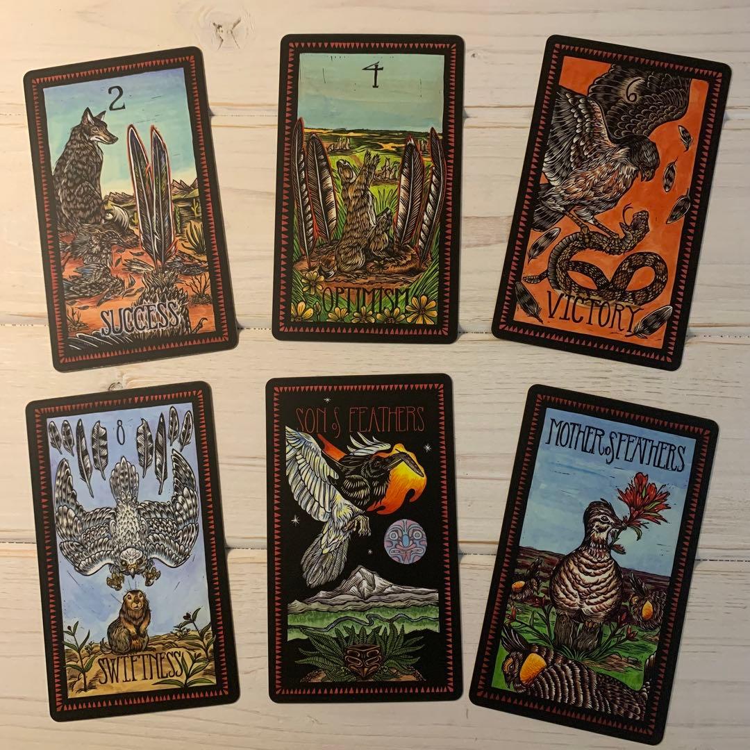 THE BRADY TAROT 海外タロットカード