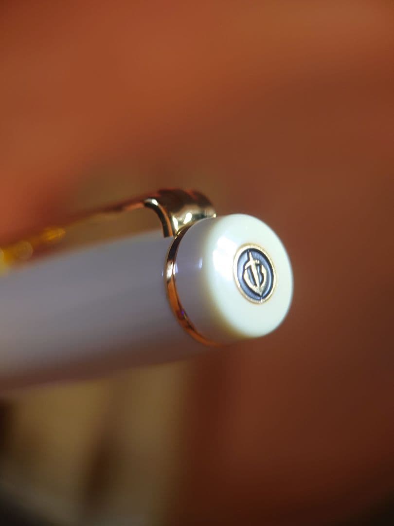 WANCHER × SAILOR　万年筆　プロギア　ペン先 21K 字幅MF