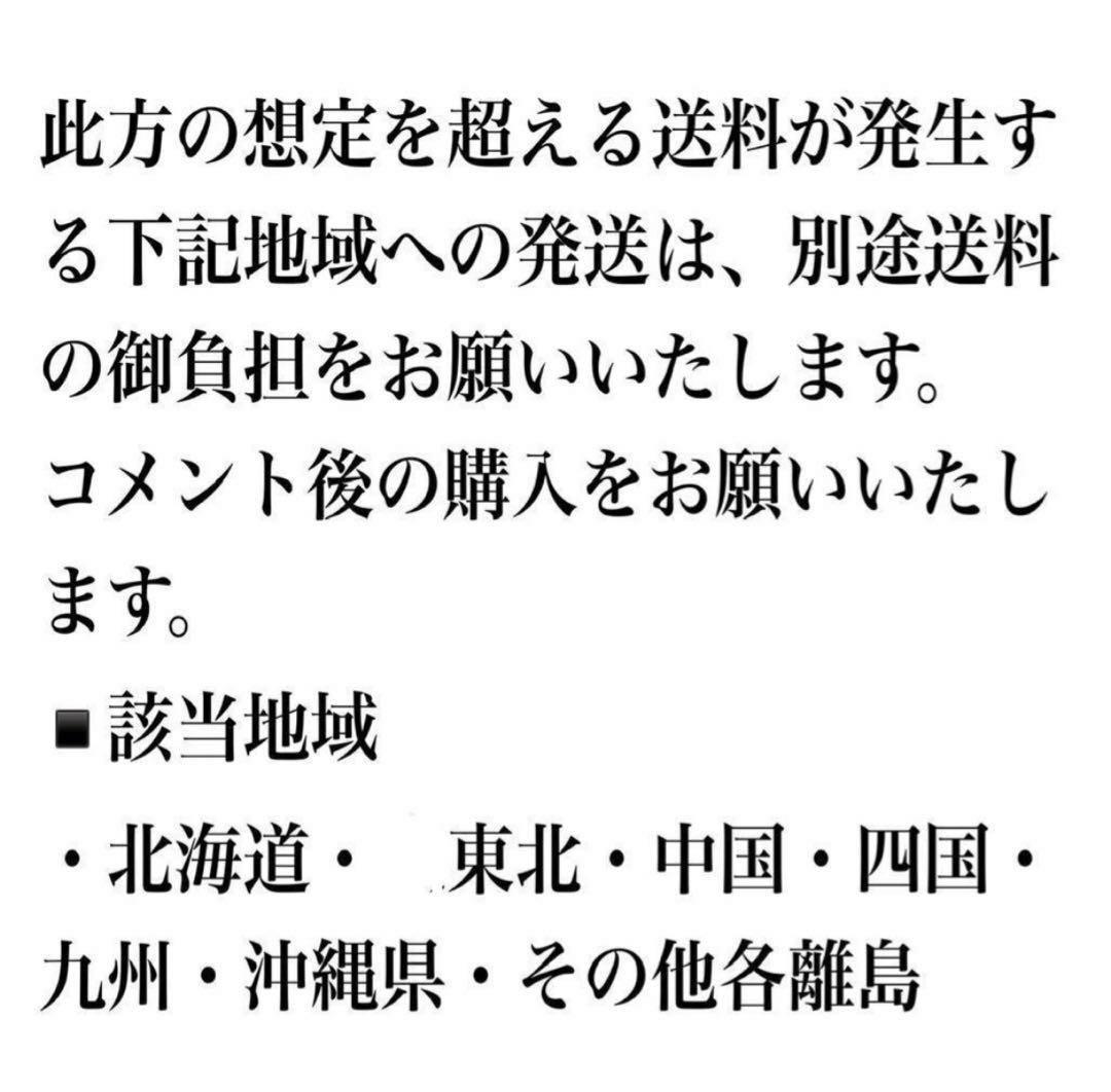 現品販売です！板付タイプのコウモリラン・超大株ホルタミー