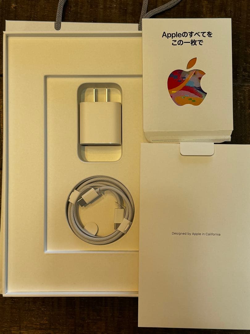 11 iPad Air M3 Wi-Fi＋Cellular256GBフルセット