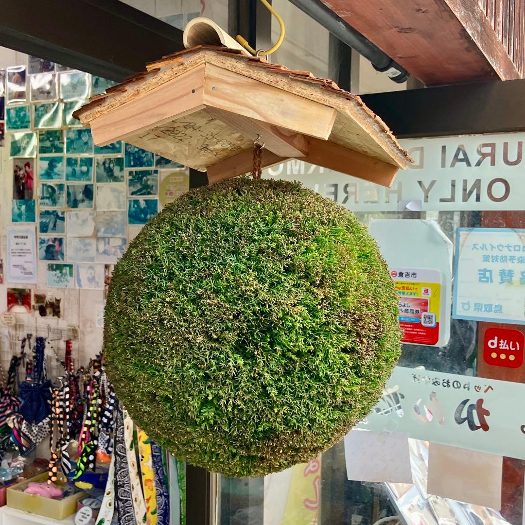 杉玉【屋根付き】④