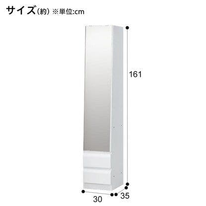 【2月まで！】ニトリ 姿見ミラー 収納 一体型 コルト30WH ホワイト