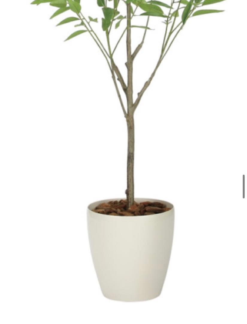 光触媒　人工観葉植物　フェイクグリーン　フレッシュ細葉ユーカリ1.7m