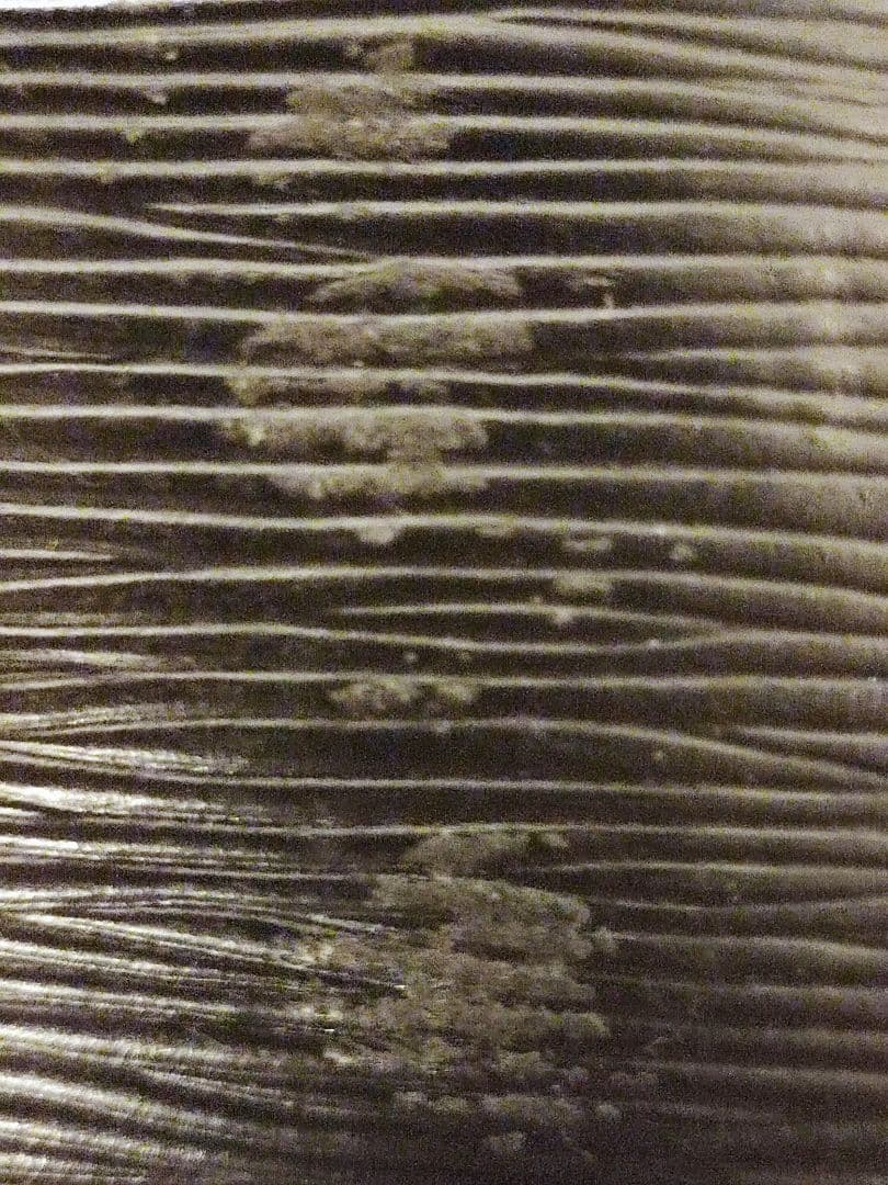 キーポル
