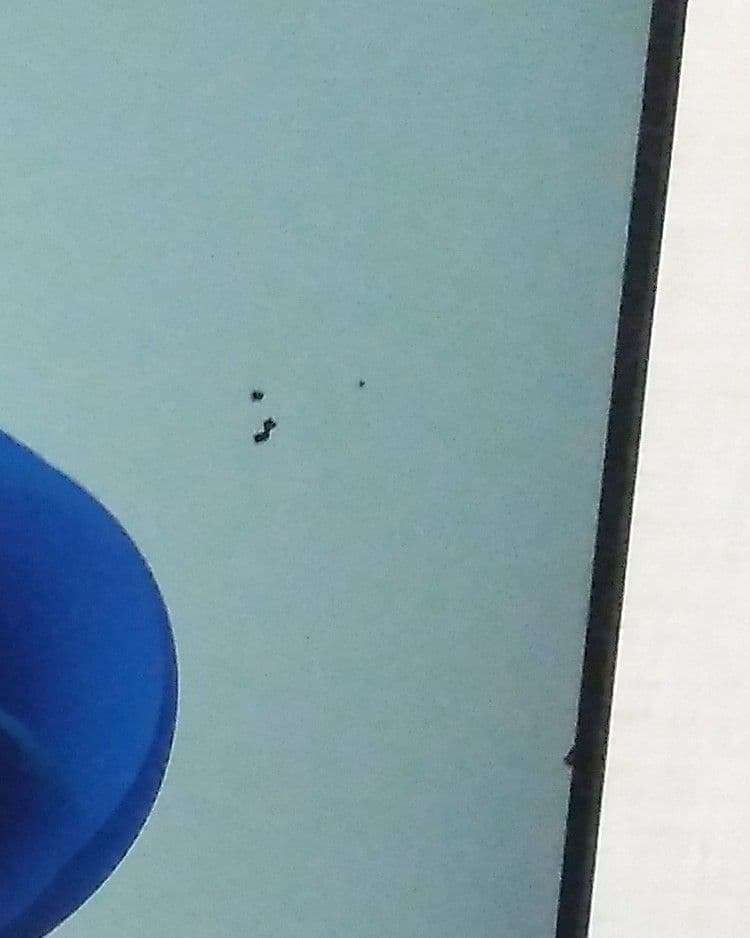 Lenovo ideacentre F0DN 23.8液晶一体型デスクトップ