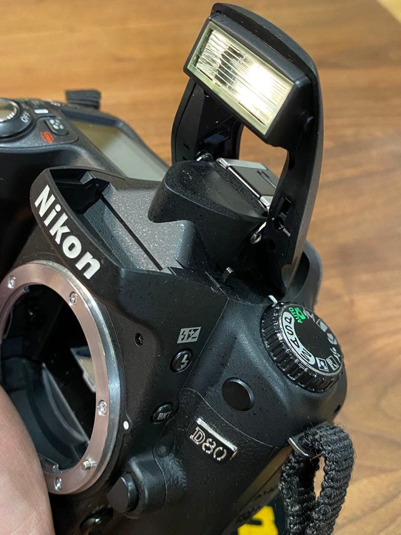 Nikon D80 デジタル一眼 AF NIKKOR 70-300 5078枚