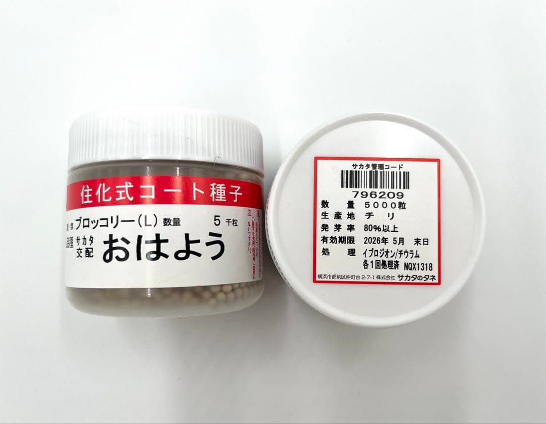 【クリスマスセール】値下げ！ブロッコリー種子（おはよう）5000粒5個セット