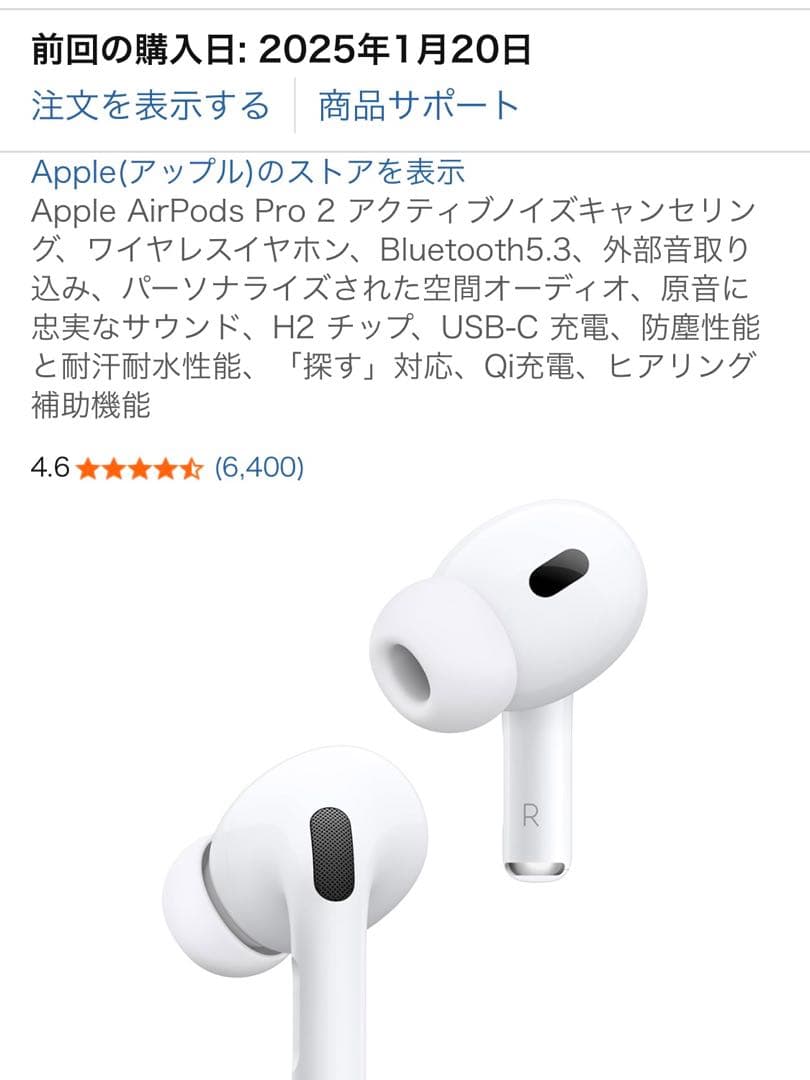AirPods pro2 左耳のみ