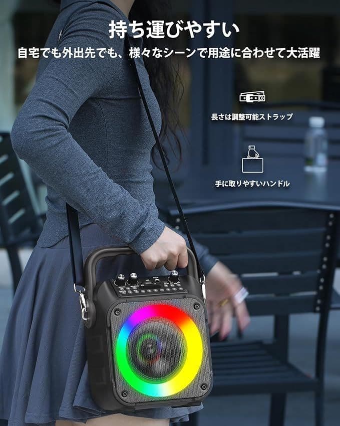カラオケスピーカーセット マイク2本付き 家庭用・パーティー用