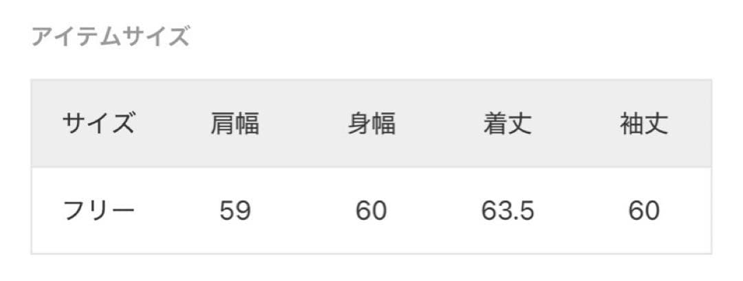 FRAMeWORK champion別注製品染めREVERSE WAVEポケット