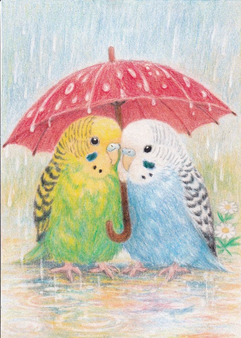 専用…かずちゃんさま