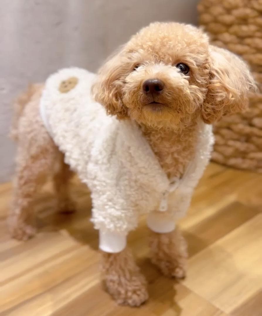 DENIM ROSE ワッペンボアジャケット