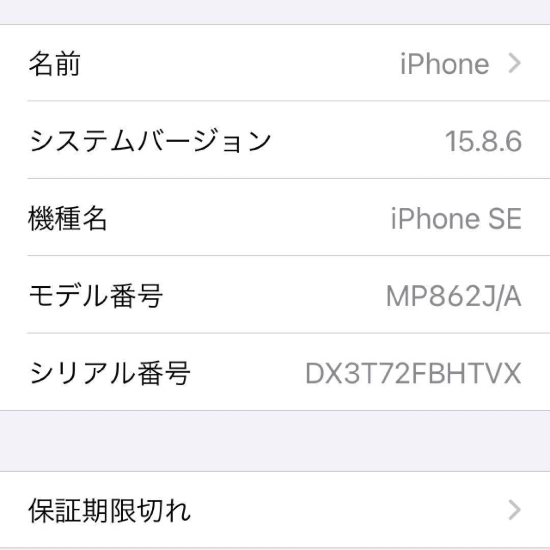 【値下げ不可】iPhone SE 第1世代　128GB