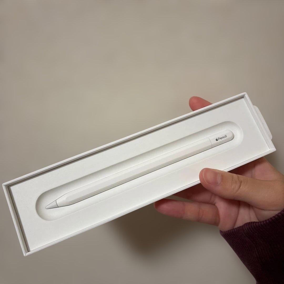 iPadアクセサリー Apple Pencil USB C