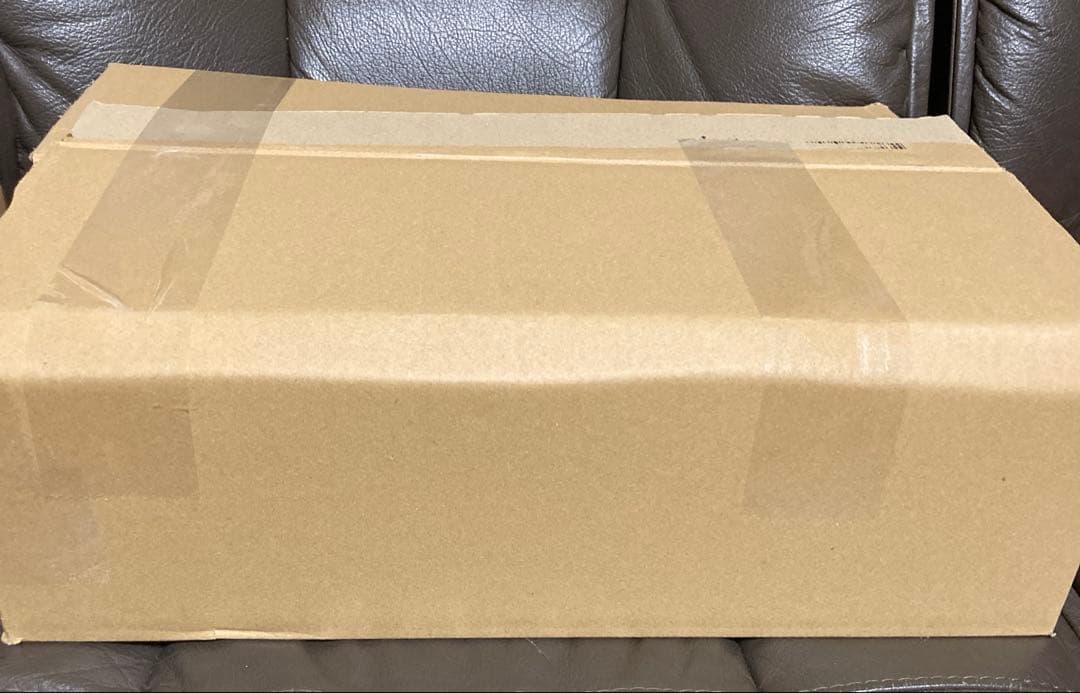 多肉植物　韓国苗　大量　200苗